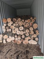 Изображение WhatsApp 2024-04-12 в 15.44.17_35898aa5.jpg