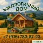 SAVE_20250505_091920.jpg
