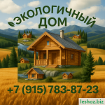 file_00000000c6d0620a8945d1a7d823265f (3).png