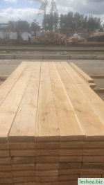 Изображение WhatsApp 2024-06-18 в 16.45.41_588c8cee — копия.jpg