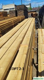 sss1Лиственница 2-3с .jpg