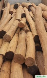 newDeWatermark.ai_1759918010139 — копия.jpeg