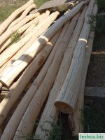 Изображение WhatsApp 2025-10-08 в 11.57.22_14515919 — копия.jpg