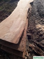 WhatsApp Image 2019-12-24 at 11.49.34.jpeg