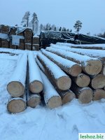 Изображение WhatsApp 2024-12-13 в 06.14.07_3bfdce97.jpg