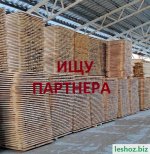 ищу партнера.jpg